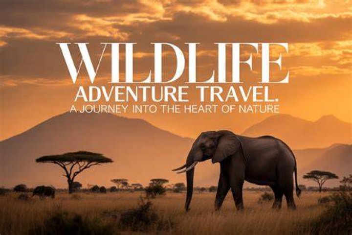 A Journey Of Wildlife And