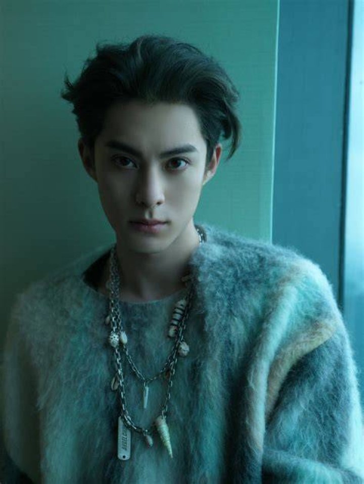 Dylan Wang Rise of China&rsquo;s Newest Drama Star &mdash; RADII