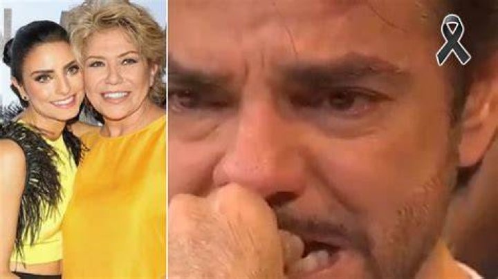 Eugenio Derbez Gabriela Michel Gabriela Michel habla sobre su