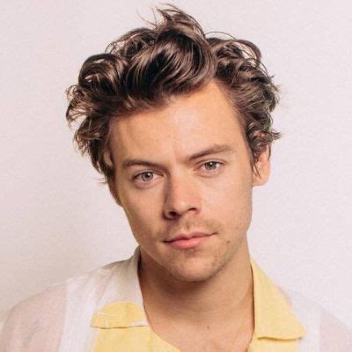 Harry Styles Wiki, Bio, Age, Net Worth, and Other Facts Facts Five