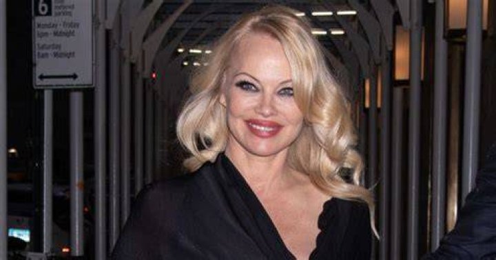 Pamela Anderson claims she lost out on 'Under Siege' role after