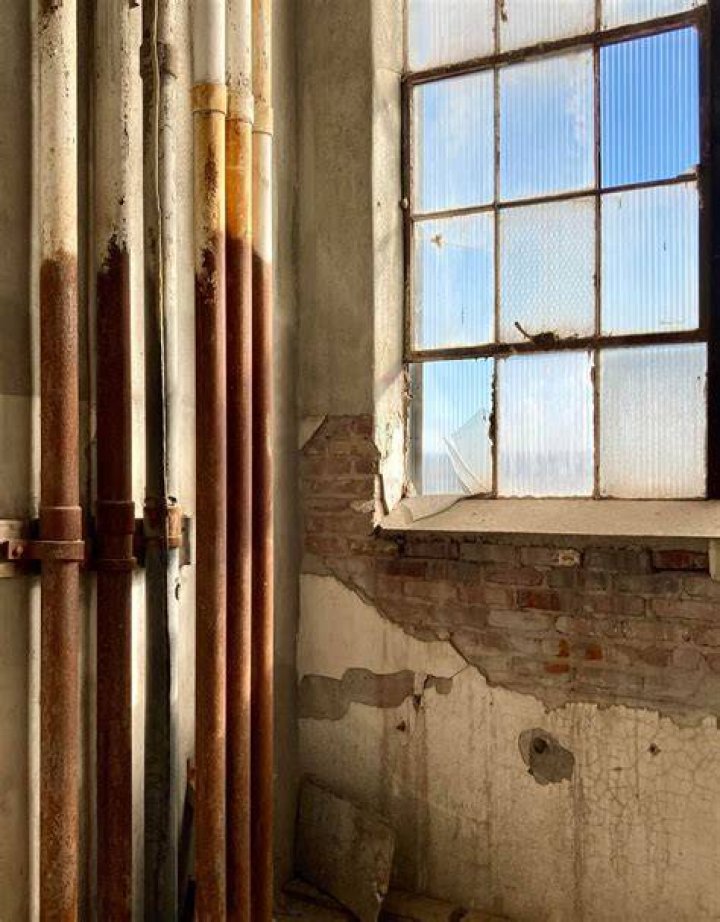 some old pictures I took Ally Sheedy