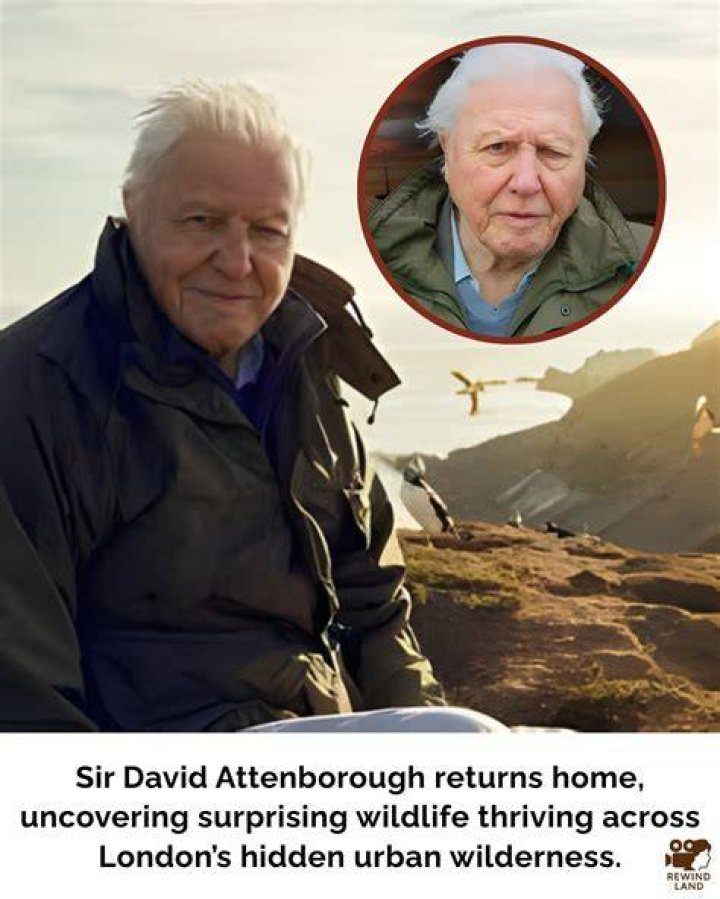 Uncovering The Surprising Amount David Attenborough Has Donated To Charity