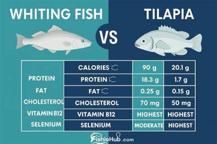Whiting vs Tilapia Which Fish is Healthier for Your Diet